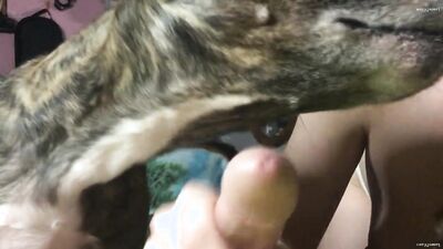 Animal zoo sex: dogs licking young girls
