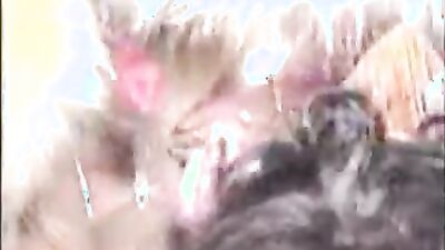 Animal cross porn: young girl webcam dog
