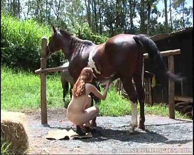 Zoophilia porno: animal porn video tube