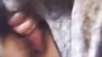 Women's dog sex: bestiality porn zaina