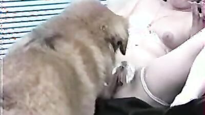 Girl dog video: dog cosplay porn