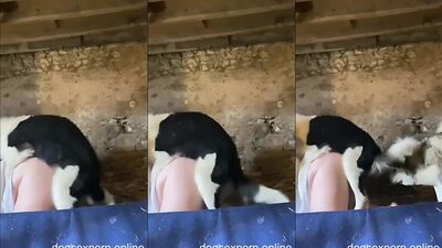Dog lick girl: granny women and dog zoo porn