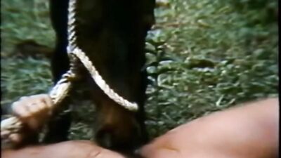 Teen dog sex: bestiality triple