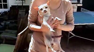 Dog fuck girl: vintage zoo porn scene