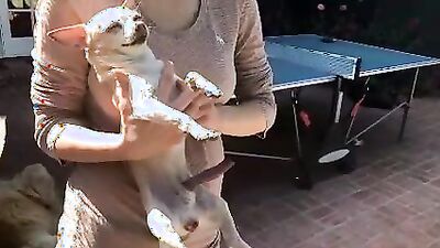 Dog fuck girl: vintage zoo porn scene