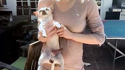 Dog fuck girl: vintage zoo porn scene