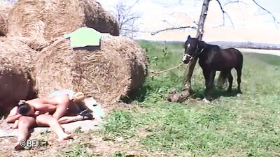Women's dog sex: porn art bone tale manor dog