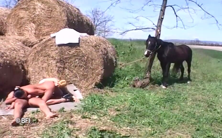 Women's dog sex: porn art bone tale manor dog