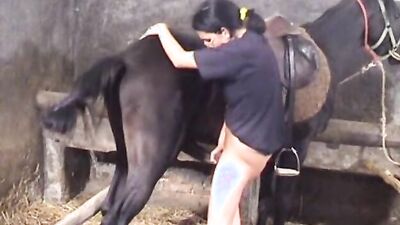 Zoo porno video: grindhound dog sex