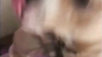 Zoophilia porno: xxx animal porn