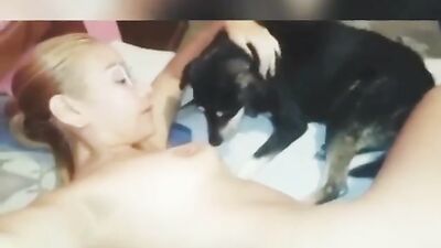 Dog fucking girl: porno animals dog licking