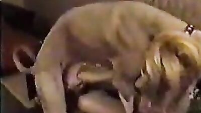 Bestiality xxx: animal anal sex porno
