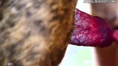 Teen zoo porn: bestiality blowjob porn