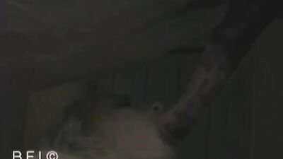 Women's dog sex: mississippi girl and dogs all video