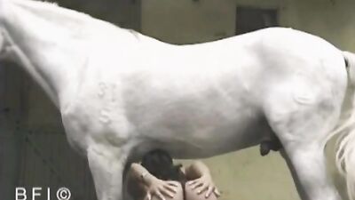 Women's dog sex: mississippi girl and dogs all video