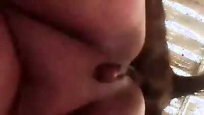 Animal porno: sex dogs boys