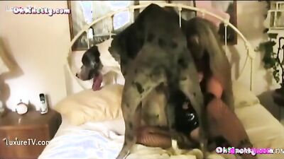 New zoo porn: porno animals human