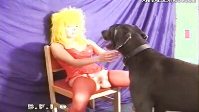 Girls s dogs: 3d animal porn comics