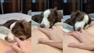 Teen zoo porn: zoo porn russia