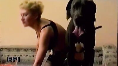 New zoo porn: video zoo licking