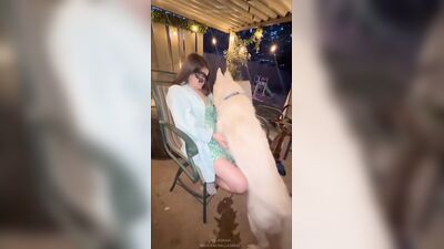Bestiality: porn zoo pet
