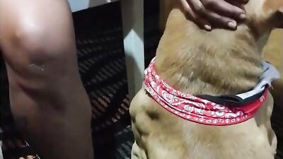 Zoo dog sex: zoo porno sex anal