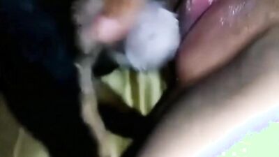 Zoo dog sex: zoo porno sex anal