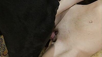 Animal zoo sex: animal crossing isabelle vk porn
