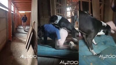 Bestiality manga: zoo sexy video