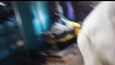 Bestiality zoo: dog sex video onlayn tube
