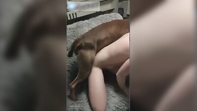 Zoo dog porn: sex bdsm zoo