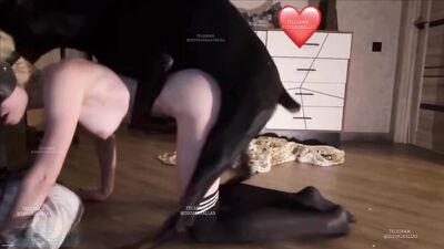 Dog girl: girls kissing dogs porn
