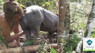 Bestiality video: animals horse porno