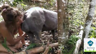 Bestiality video: animals horse porno