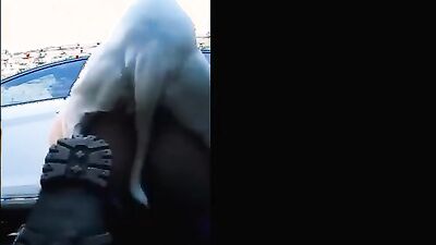 Zoo fucking porn: girl deepthroat dog