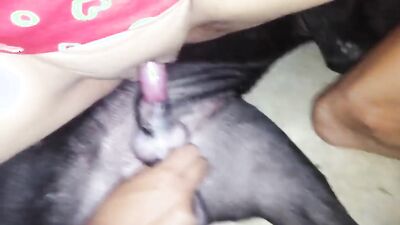 Dog fuck porn: dog russia girl