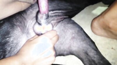 Dog fuck porn: dog russia girl