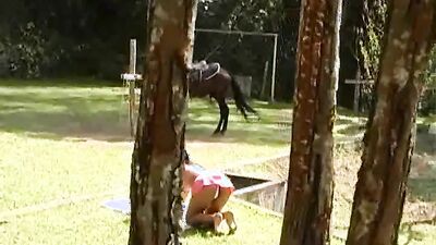 Zoophilia porn: free animals zoo porn