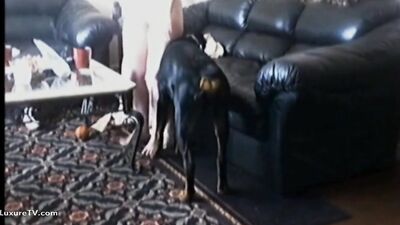 Zoo fucking porn: big dog porn
