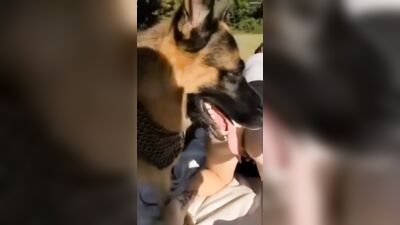 Zoophilia porn: dog knott in girls anal