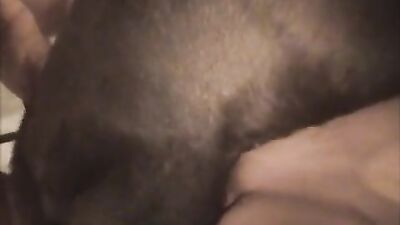 Zoophilia porn: dog sex porno onlayin