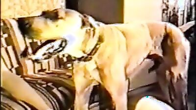 Dog teen girls: dog girl rule 34