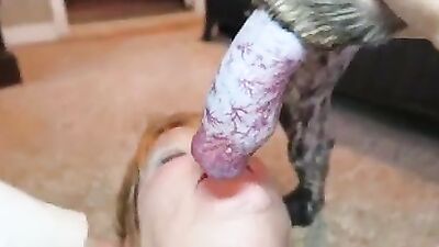 Dog gay porn: hentai bestiality hentai big tits manga