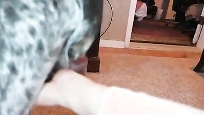 Dog gay porn: hentai bestiality hentai big tits manga