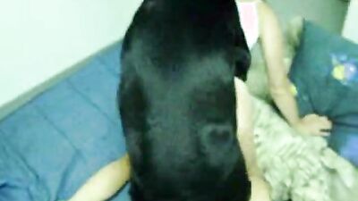 Dog porn video: bestiality girls zoo
