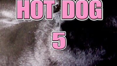 3d zoo porn: videos girls dogs new
