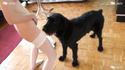 Bestiality: tube 1 porno animal