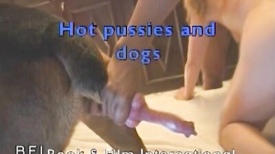 Porn comics bestiality: cumstar4 zoo porn