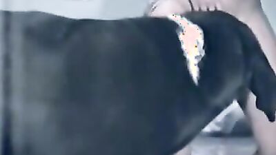Zoo video: bestiality bdsm