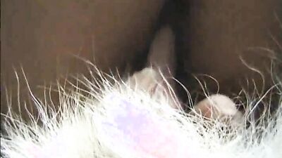 Fucking dogging porn: sex w dog